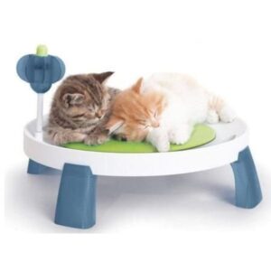 CAMA CAT IT DESIGN SENSES COMFORT ZONE